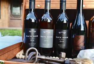 Save the Grapes Red Collectors Case