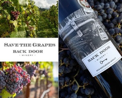 Save the Grapes Back Door